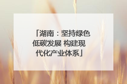 湖南：坚持绿色低碳发展 构建现代化产业体系