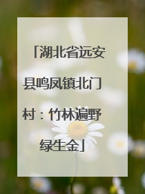 湖北省远安县鸣凤镇北门村：竹林遍野绿生金