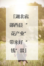 湖北省郧西县“花产业”带来好“钱”景