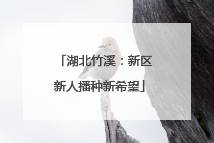 湖北竹溪：新区新人播种新希望