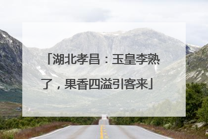 湖北孝昌：玉皇李熟了，果香四溢引客来