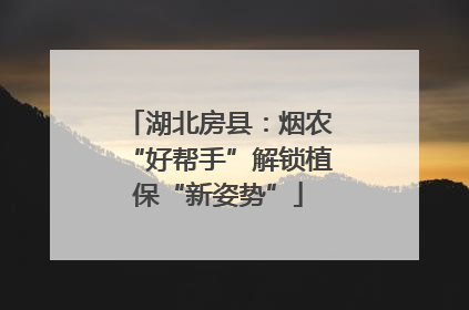 湖北房县：烟农“好帮手”解锁植保“新姿势”