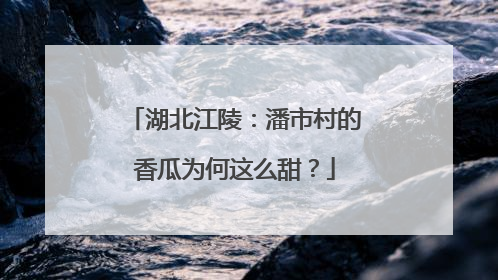 湖北江陵：潘市村的香瓜为何这么甜？