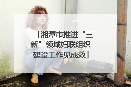 湘潭市推进“三新”领域妇联组织建设工作见成效