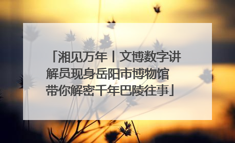 湘见万年丨文博数字讲解员现身岳阳市博物馆 带你解密千年巴陵往事