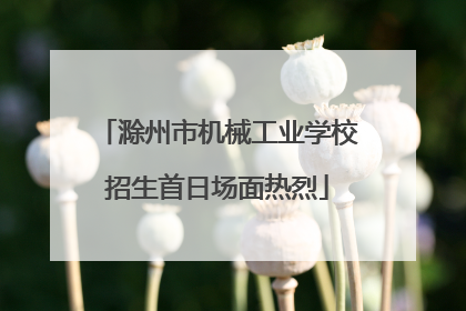 滁州市机械工业学校招生首日场面热烈