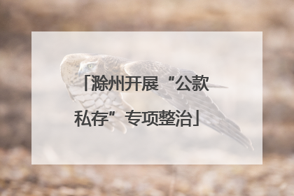 滁州开展“公款私存”专项整治