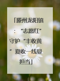滕州龙阳镇：“志愿红”守护“丰收黄”夏收一线显担当