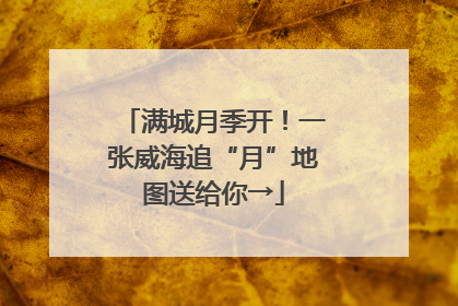 满城月季开！一张威海追“月”地图送给你→