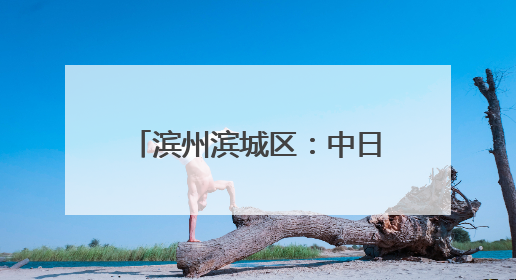 滨州滨城区：中日合作 共赢发展