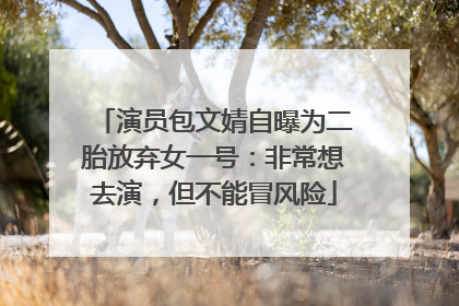 演员包文婧自曝为二胎放弃女一号：非常想去演，但不能冒风险
