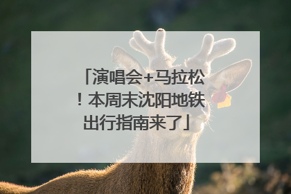 演唱会+马拉松！本周末沈阳地铁出行指南来了