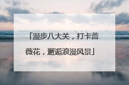漫步八大关，打卡蔷薇花，邂逅浪漫风景