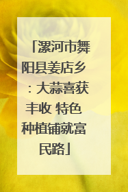 漯河市舞阳县姜店乡：大蒜喜获丰收 特色种植铺就富民路