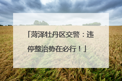 菏泽牡丹区交警：违停整治势在必行！