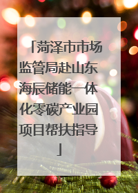 菏泽市市场监管局赴山东海辰储能一体化零碳产业园项目帮扶指导