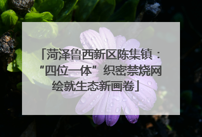 菏泽鲁西新区陈集镇：“四位一体”织密禁烧网 绘就生态新画卷