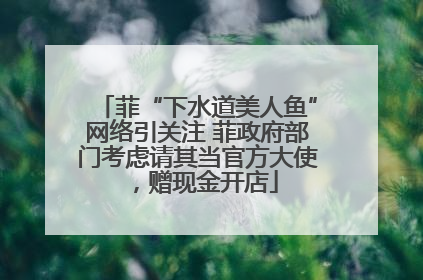 菲“下水道美人鱼”网络引关注 菲政府部门考虑请其当官方大使，赠现金开店
