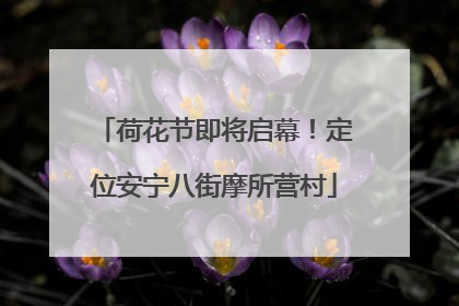 荷花节即将启幕！定位安宁八街摩所营村