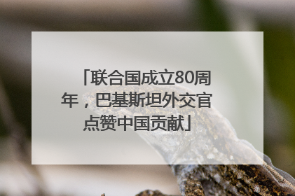 联合国成立80周年，巴基斯坦外交官点赞中国贡献