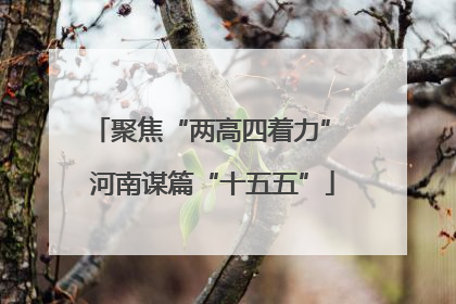聚焦“两高四着力” 河南谋篇“十五五”