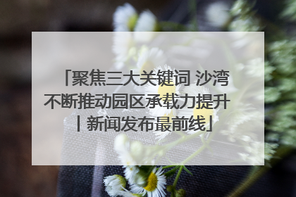 聚焦三大关键词 沙湾不断推动园区承载力提升丨新闻发布最前线