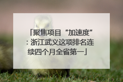 聚焦项目“加速度”：浙江武义这项排名连续四个月全省第一