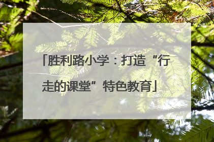 胜利路小学：打造“行走的课堂”特色教育