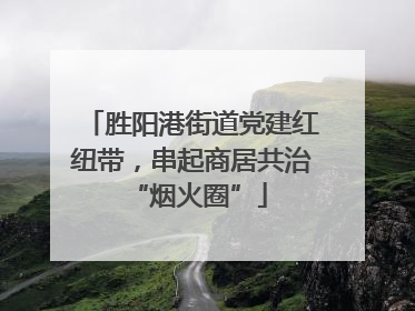 胜阳港街道党建红纽带，串起商居共治 “烟火圈”