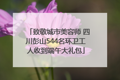 致敬城市美容师 四川彭山544名环卫工人收到端午大礼包