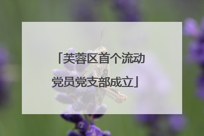 芙蓉区首个流动党员党支部成立