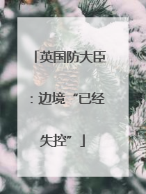英国防大臣：边境“已经失控”