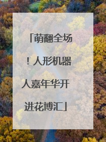 萌翻全场！人形机器人嘉年华开进花博汇