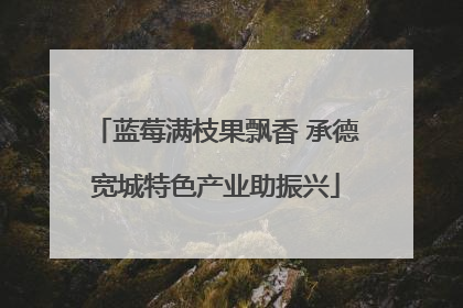 蓝莓满枝果飘香 承德宽城特色产业助振兴