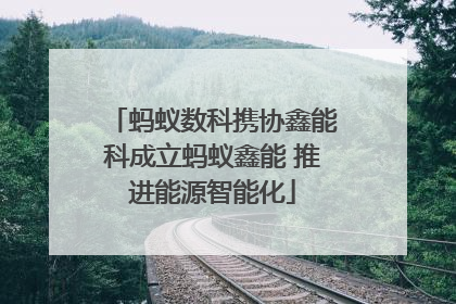 蚂蚁数科携协鑫能科成立蚂蚁鑫能 推进能源智能化