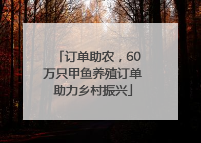 订单助农，60万只甲鱼养殖订单助力乡村振兴
