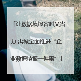 让数据填报省时又省力 禹城全面推进“企业数据填报一件事”