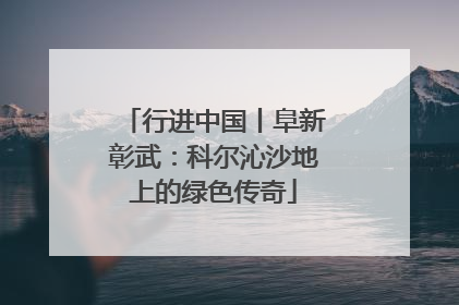 行进中国丨阜新彰武：科尔沁沙地上的绿色传奇