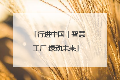 行进中国｜智慧工厂 绿动未来