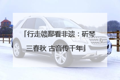 行走赣鄱看非遗：斫琴三春秋 古音传千年