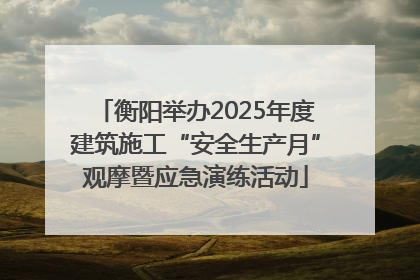 衡阳举办2025年度建筑施工“安全生产月”观摩暨应急演练活动
