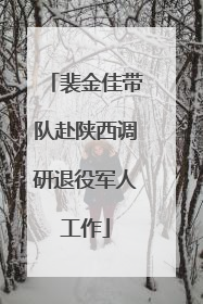 裴金佳带队赴陕西调研退役军人工作