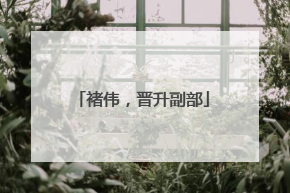 褚伟，晋升副部