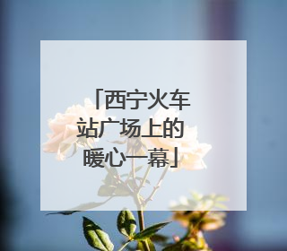 西宁火车站广场上的暖心一幕
