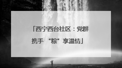 西宁西台社区：党群携手 “粽”享温情