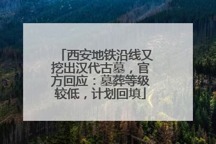 西安地铁沿线又挖出汉代古墓，官方回应：墓葬等级较低，计划回填