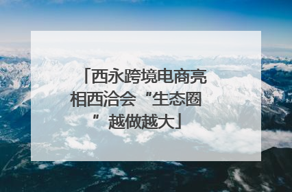 西永跨境电商亮相西洽会“生态圈”越做越大