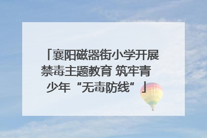 襄阳磁器街小学开展禁毒主题教育 筑牢青少年“无毒防线”