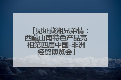见证藏湘兄弟情：西藏山南特色产品亮相第四届中国-非洲经贸博览会