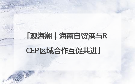 观海潮｜海南自贸港与RCEP区域合作互促共进